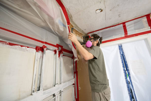 Best Mold Removal for HVAC Installations  in Rio Del Mar, CA