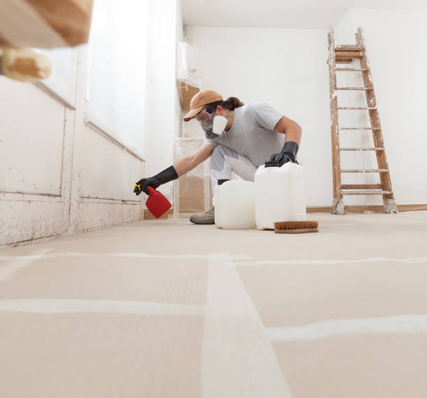 Best Mold Documentation for Insurance Claims  in Rio Del Mar, CA